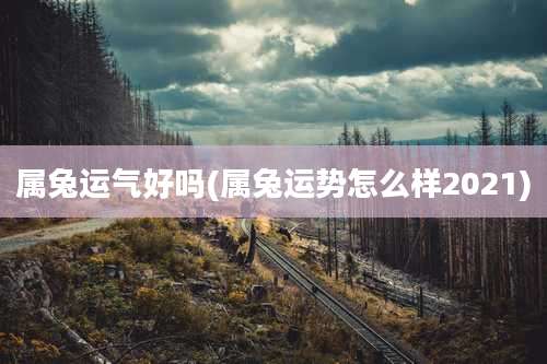 属兔运气好吗(属兔运势怎么样2021)