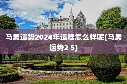 马男运势2024年运程怎么样呢(马男运势2 5)