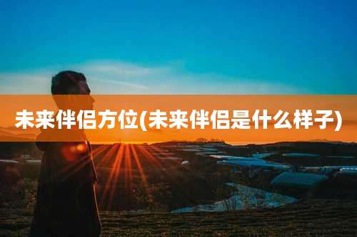 未来伴侣方位(未来伴侣是什么样子)