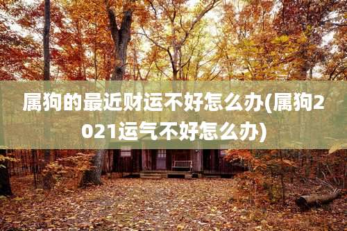 属狗的最近财运不好怎么办(属狗2021运气不好怎么办)