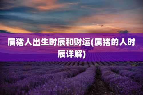 属猪人出生时辰和财运(属猪的人时辰详解)