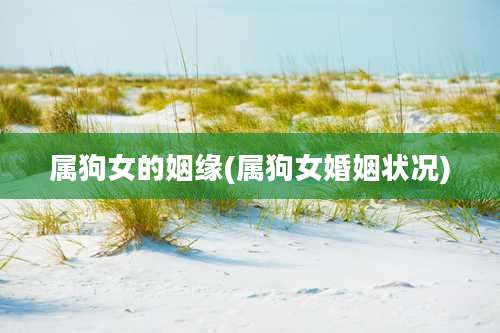 属狗女的姻缘(属狗女婚姻状况)