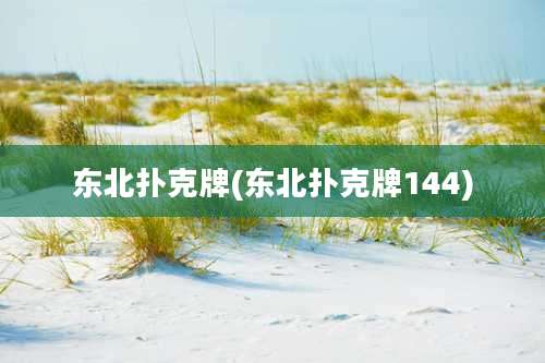 东北扑克牌(东北扑克牌144)