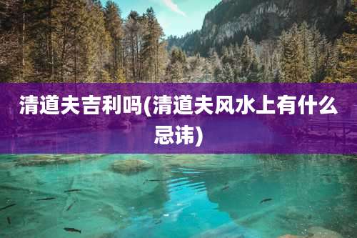 清道夫吉利吗(清道夫风水上有什么忌讳)