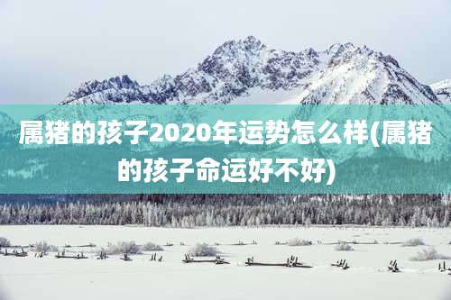 属猪的孩子2020年运势怎么样(属猪的孩子命运好不好)