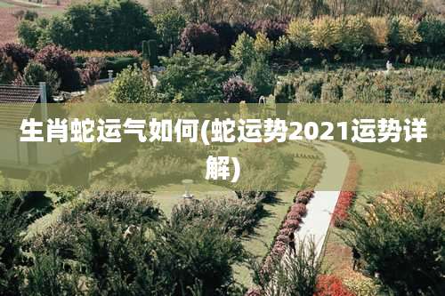 生肖蛇运气如何(蛇运势2021运势详解)