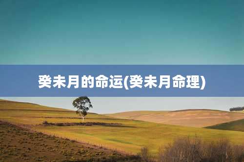 癸未月的命运(癸未月命理)