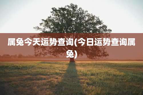 属兔今天运势查询(今日运势查询属兔)