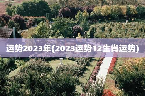 运势2023年(2023运势12生肖运势)