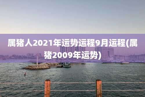 属猪人2021年运势运程9月运程(属猪2009年运势)