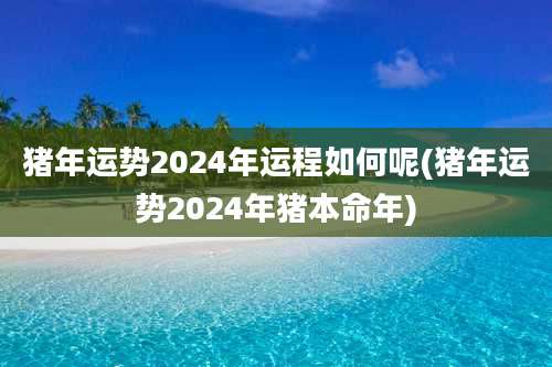 猪年运势2024年运程如何呢(猪年运势2024年猪本命年)