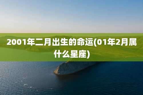 2001年二月出生的命运(01年2月属什么星座)