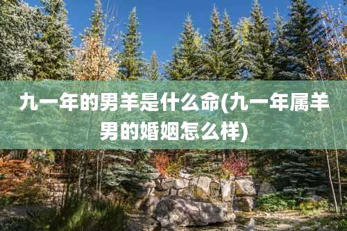 九一年的男羊是什么命(九一年属羊男的婚姻怎么样)