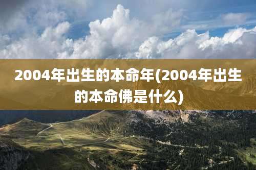 2004年出生的本命年(2004年出生的本命佛是什么)