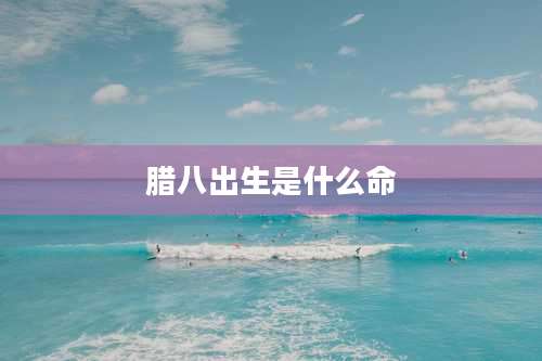 腊八出生是什么命