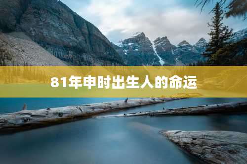 81年申时出生人的命运