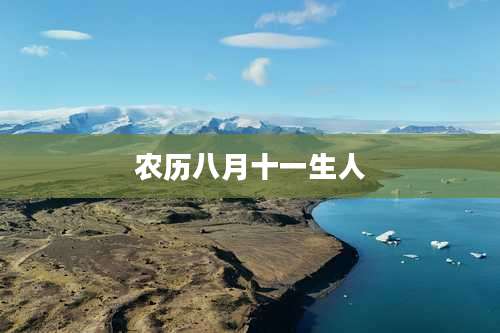 农历八月十一生人