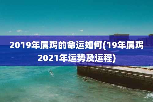 2019年属鸡的命运如何(19年属鸡2021年运势及运程)