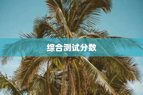 综合测试分数