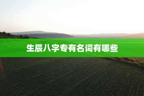 生辰八字专有名词有哪些
