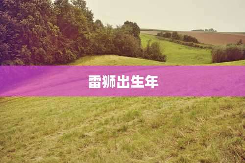 雷狮出生年