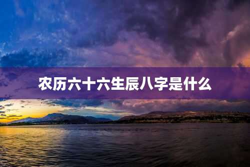 农历六十六生辰八字是什么