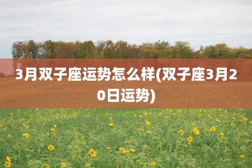 3月双子座运势怎么样(双子座3月20日运势)