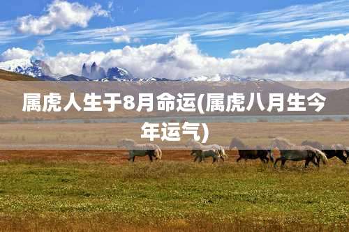 属虎人生于8月命运(属虎八月生今年运气)