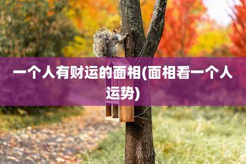 一个人有财运的面相(面相看一个人运势)