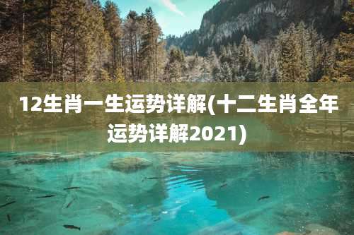 12生肖一生运势详解(十二生肖全年运势详解2021)