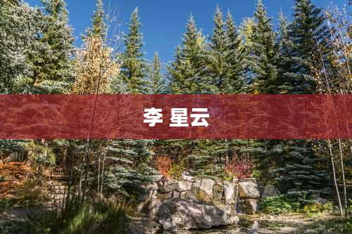 李 星云