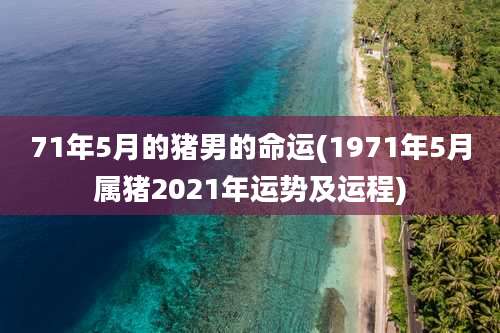 71年5月的猪男的命运(1971年5月属猪2021年运势及运程)