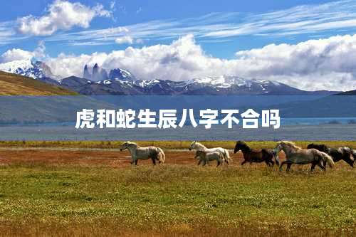 虎和蛇生辰八字不合吗