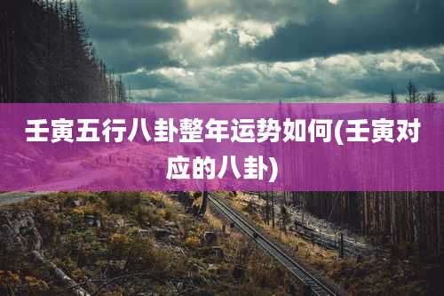壬寅五行八卦整年运势如何(壬寅对应的八卦)