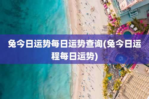 兔今日运势每日运势查询(兔今日运程每日运势)