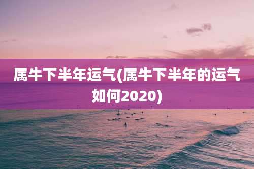 属牛下半年运气(属牛下半年的运气如何2020)