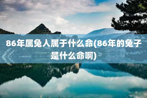 86年属兔人属于什么命(86年的兔子是什么命啊)