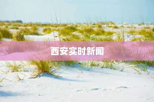 西安实时新闻