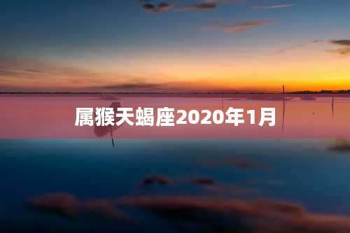 属猴天蝎座2020年1月