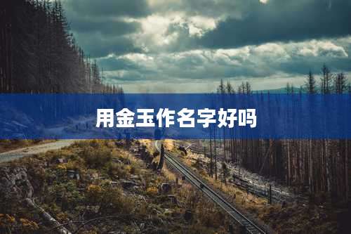 用金玉作名字好吗