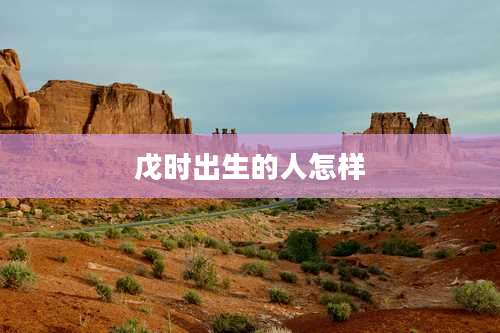 戊时出生的人怎样