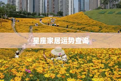 星座家居运势查询