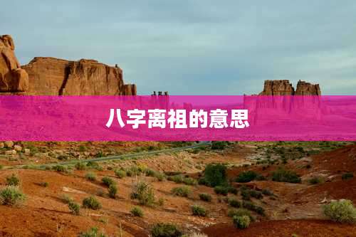 八字离祖的意思