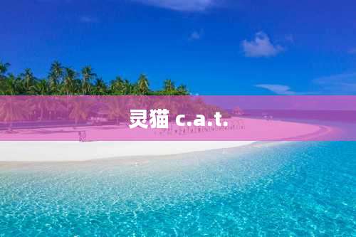 灵猫 c.a.t.