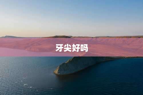 牙尖好吗