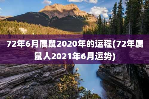 72年6月属鼠2020年的运程(72年属鼠人2021年6月运势)