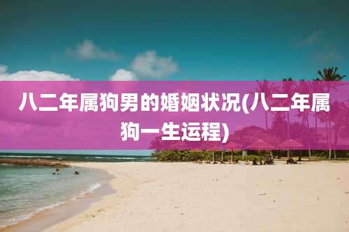 八二年属狗男的婚姻状况(八二年属狗一生运程)