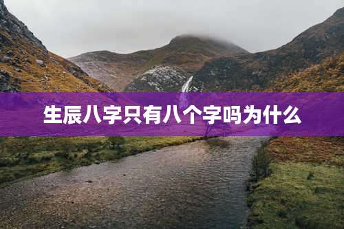 生辰八字只有八个字吗为什么