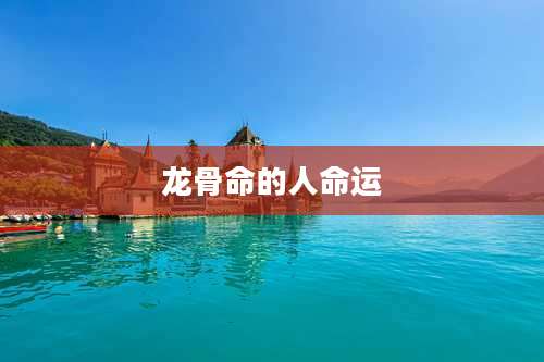 龙骨命的人命运