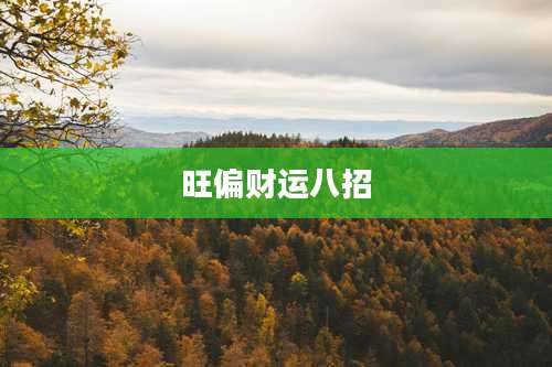 旺偏财运八招